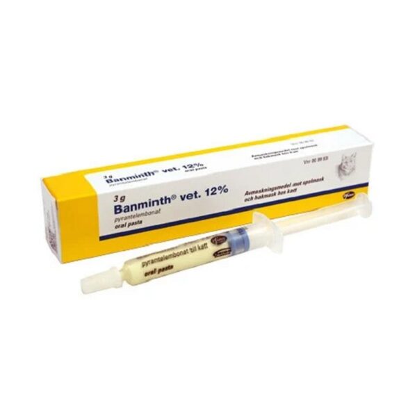 BANMINTH VET PASTA 12% Oral pasta 3 g - Bild 2